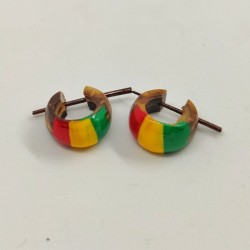 Rasta coconut earrings