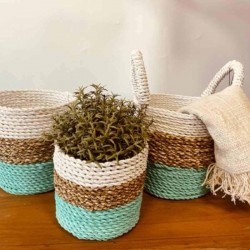 3 Baskets of Seaweed